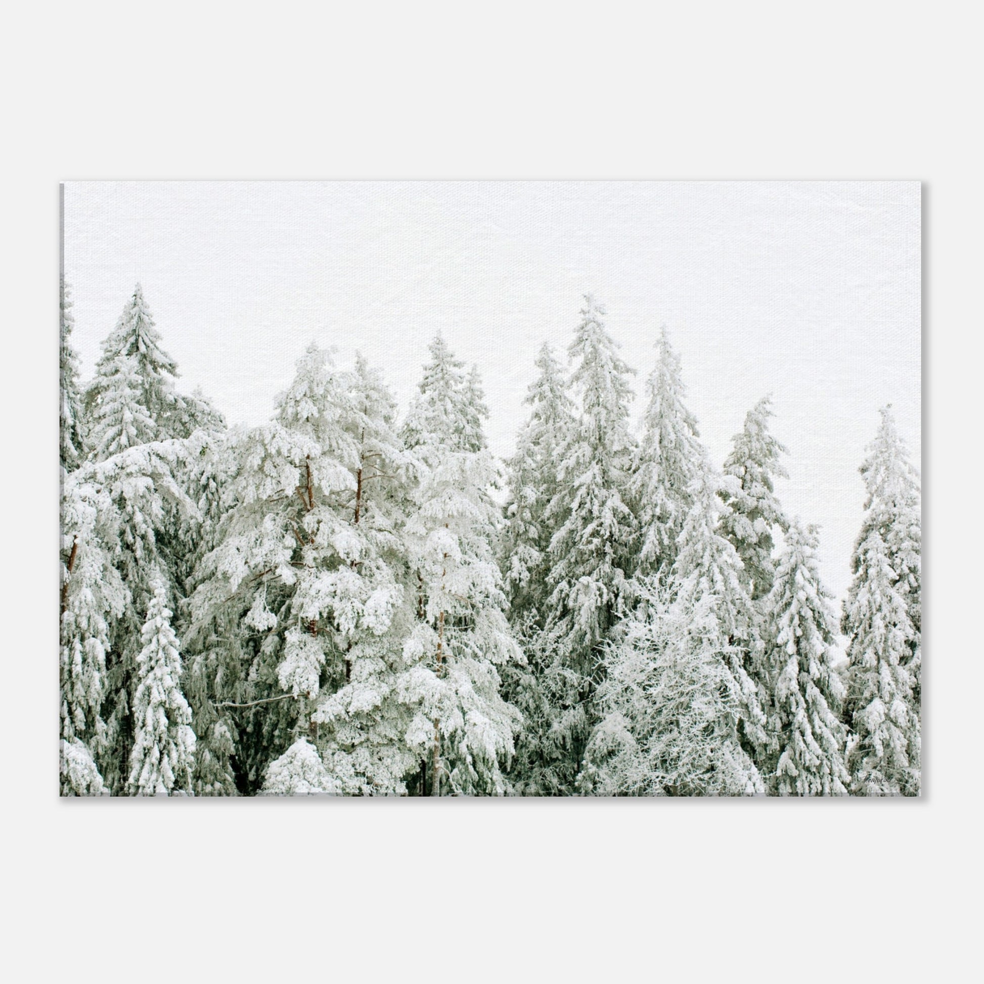 7c74df97-fff5-4279-8f89-a23de4f69938