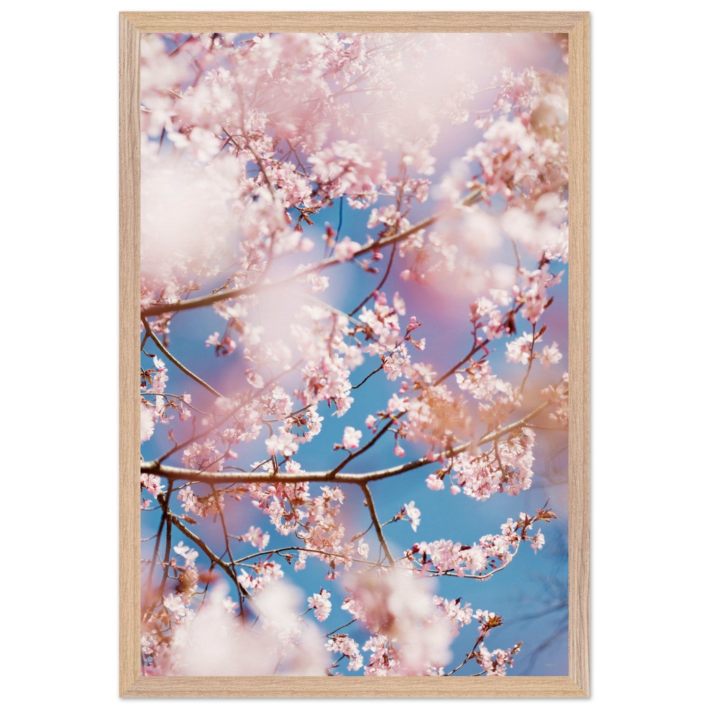 7d6ebde4-2e44-46e4-883b-35eb7b615c05