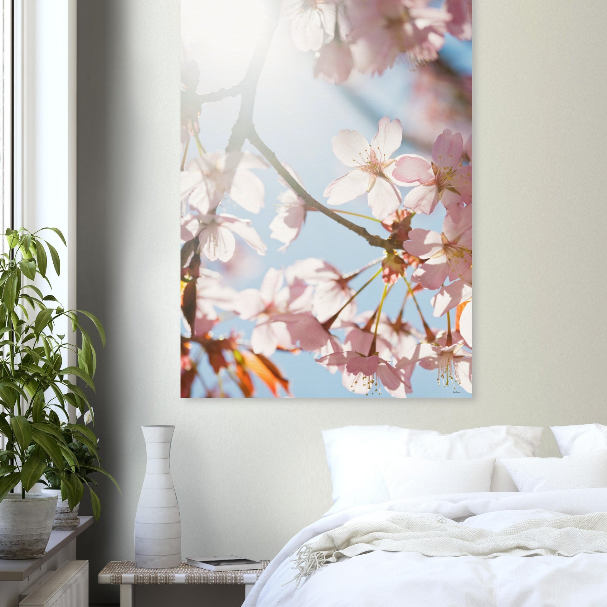 7e7a64b6-5d6b-4af8-af51-2a7fe2cc2a9c