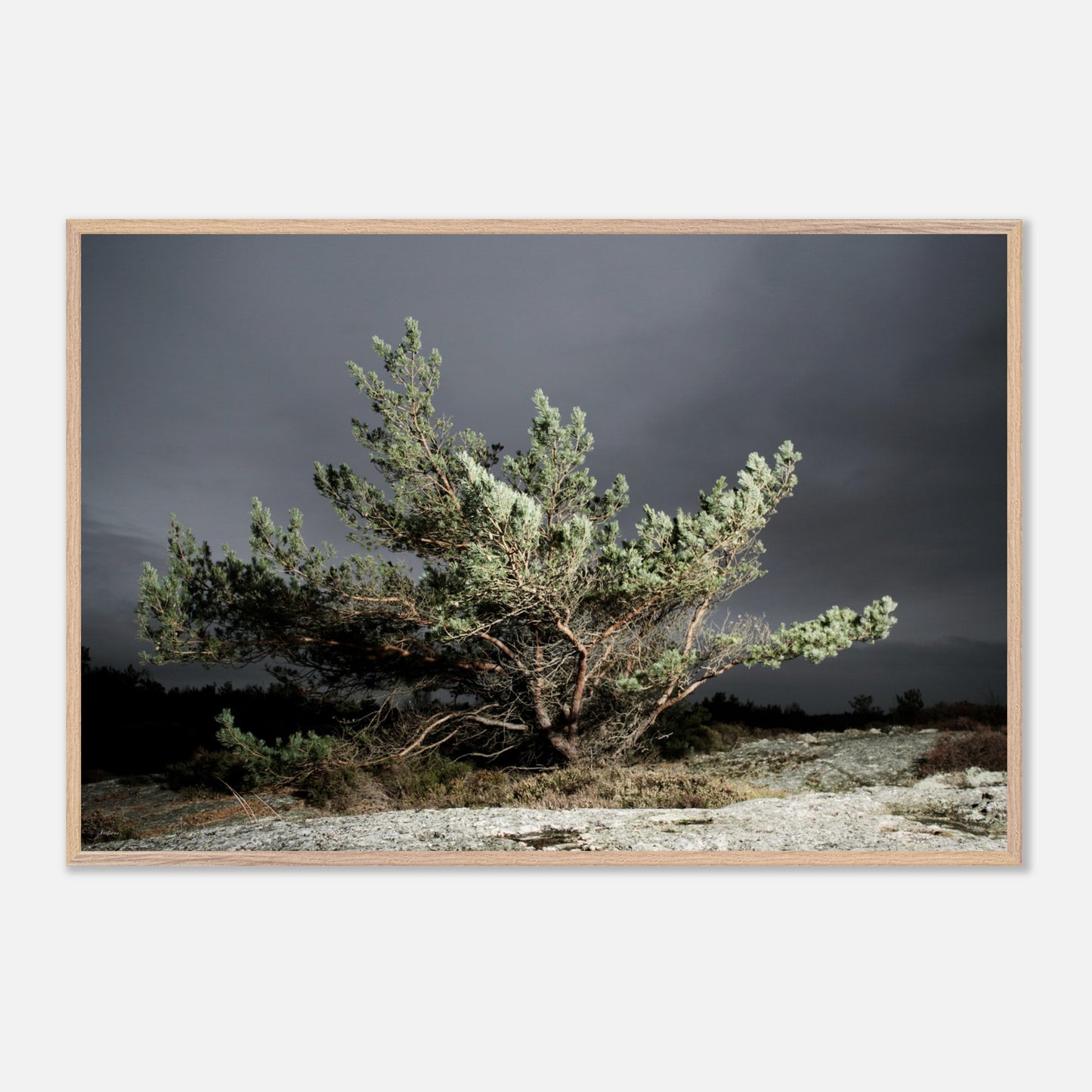 7ff318fe-6928-48ea-96bc-fb17633fe8f6