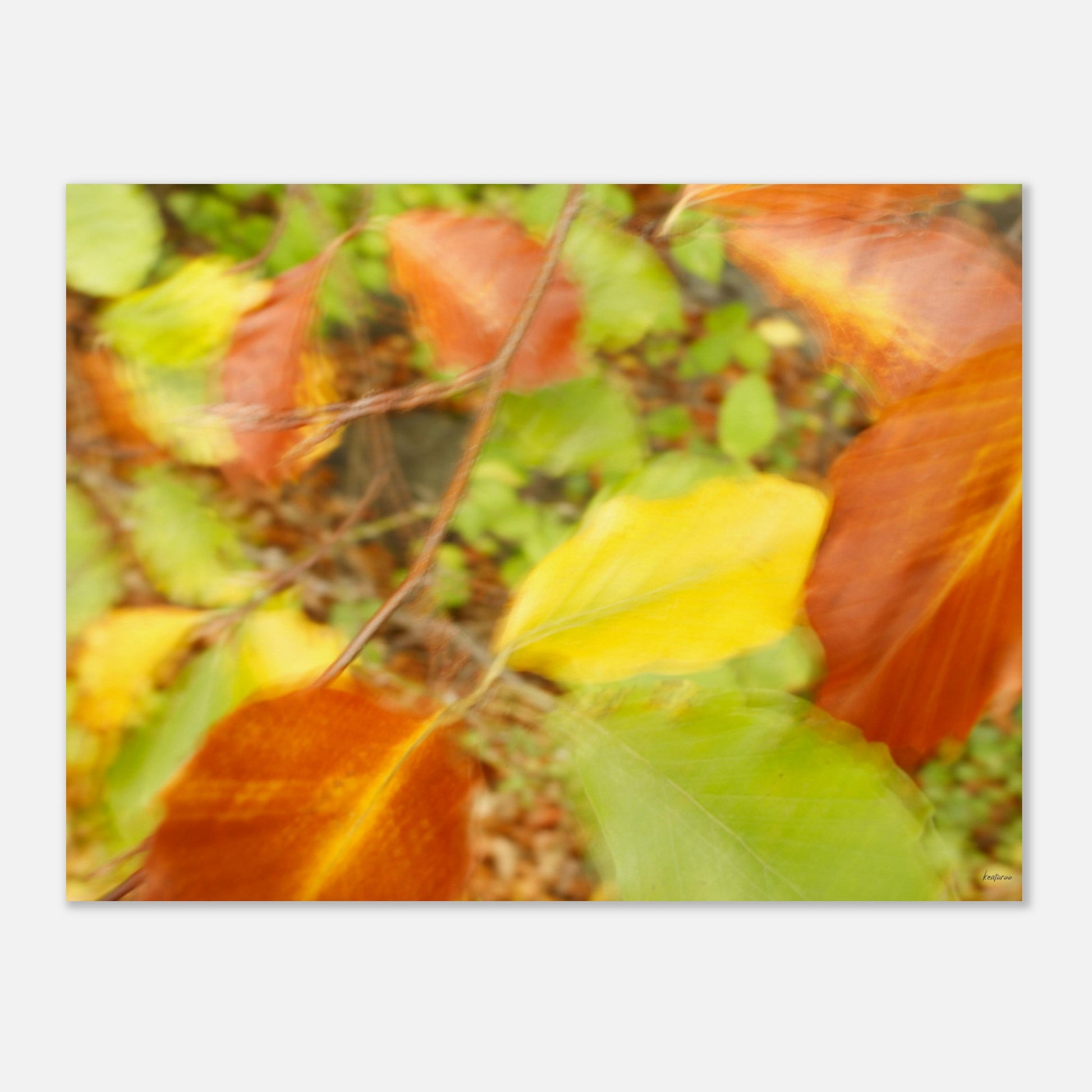 7ffdb52f-00be-495d-81af-c55a81ac9e93