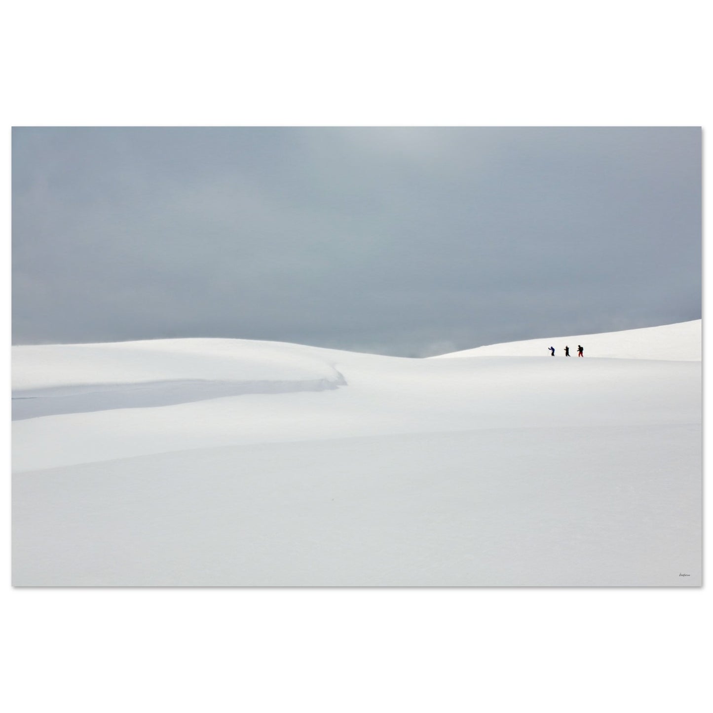 81d6a7ee-cfad-4ca7-a0a8-054832826956