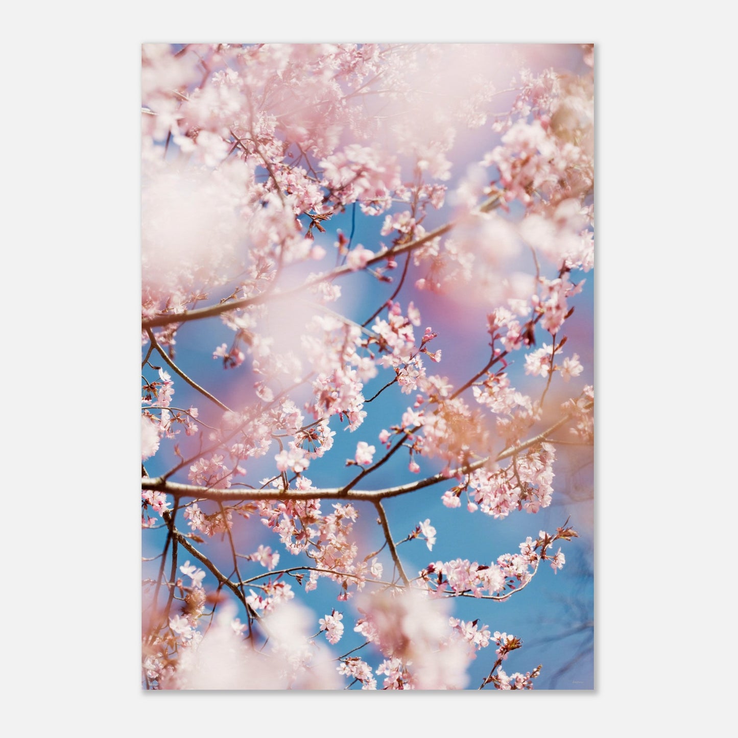 81d789b5-77fe-4484-a7f4-f014f8ff357a