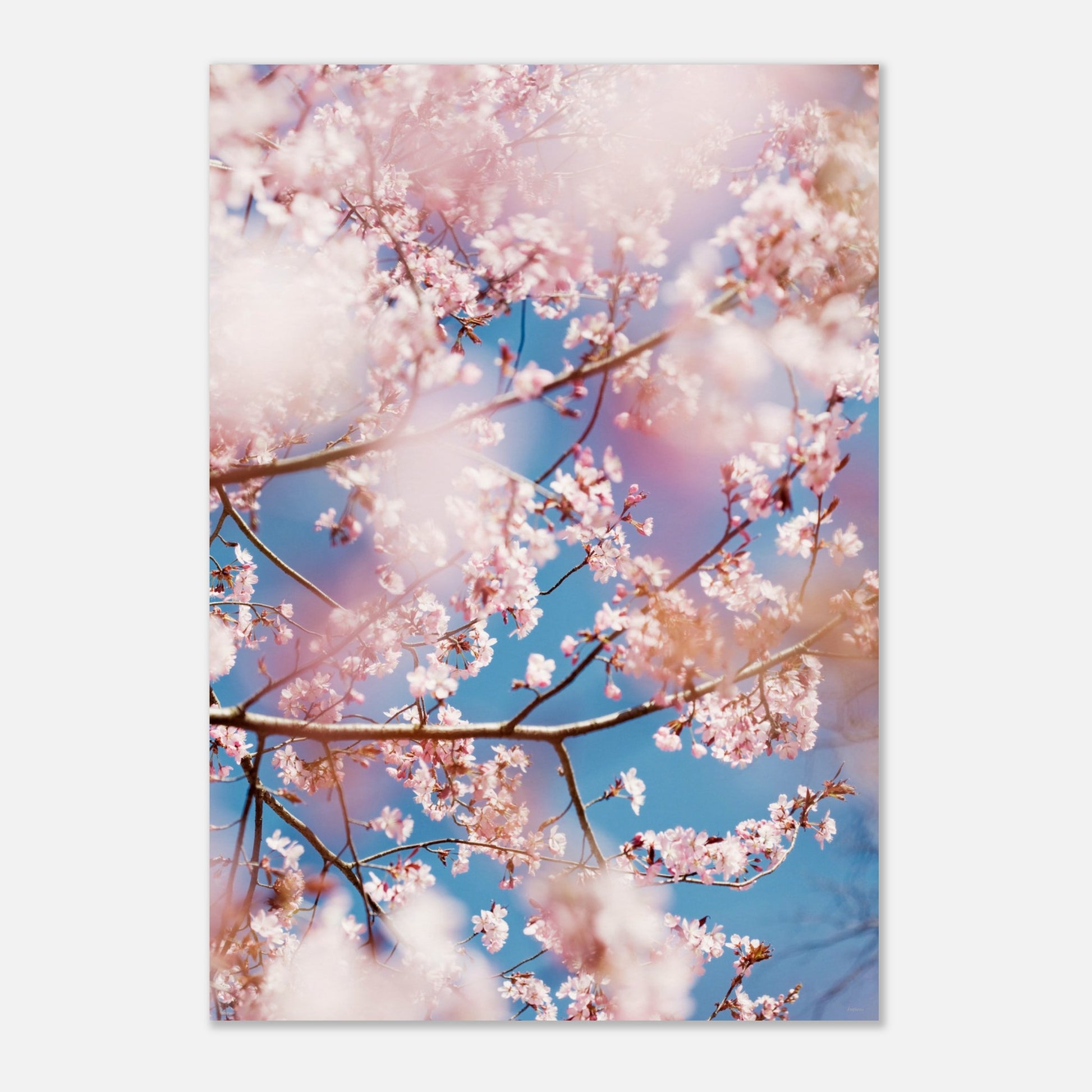 81d789b5-77fe-4484-a7f4-f014f8ff357a