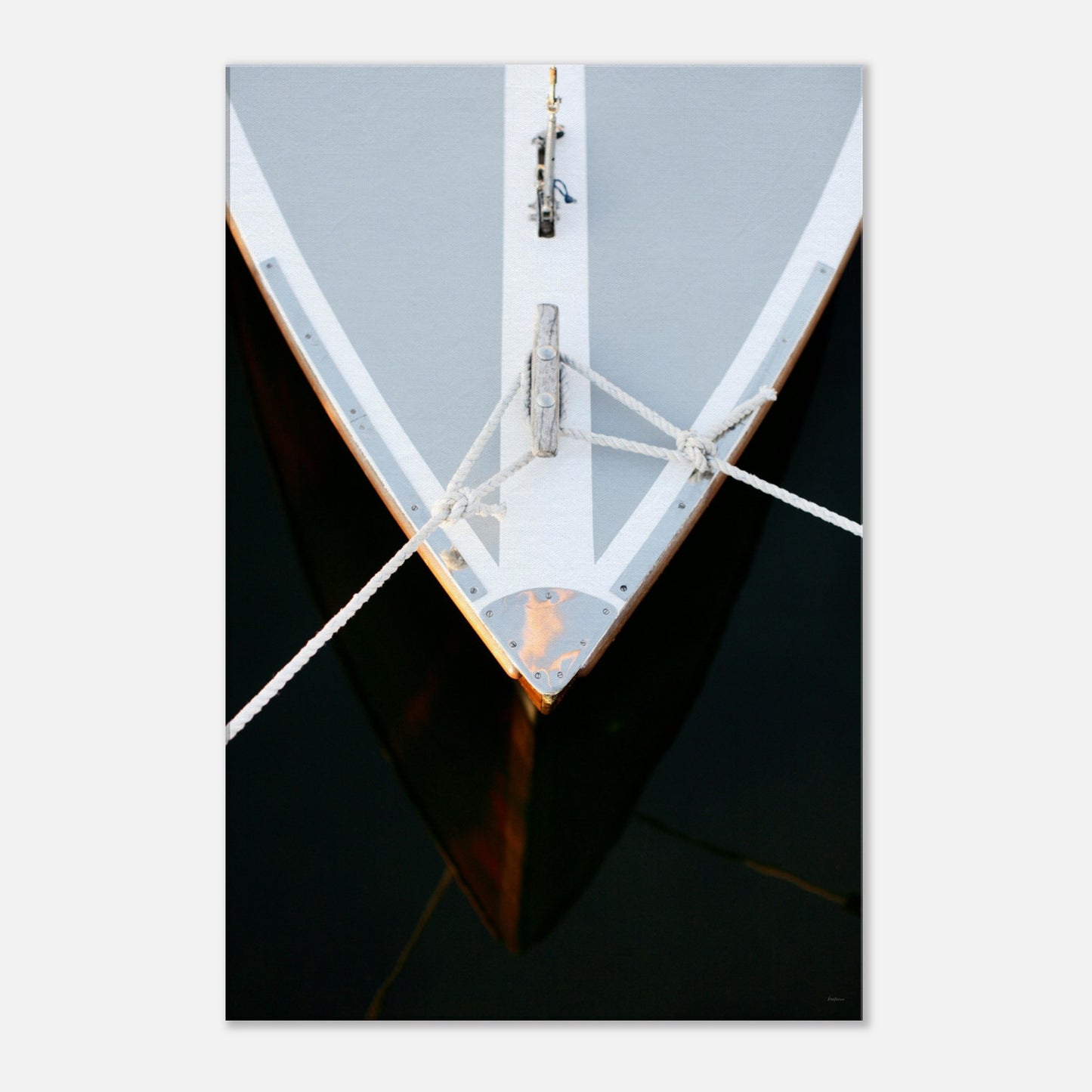 8470b592-fe7f-438e-a033-f83a0b903a52