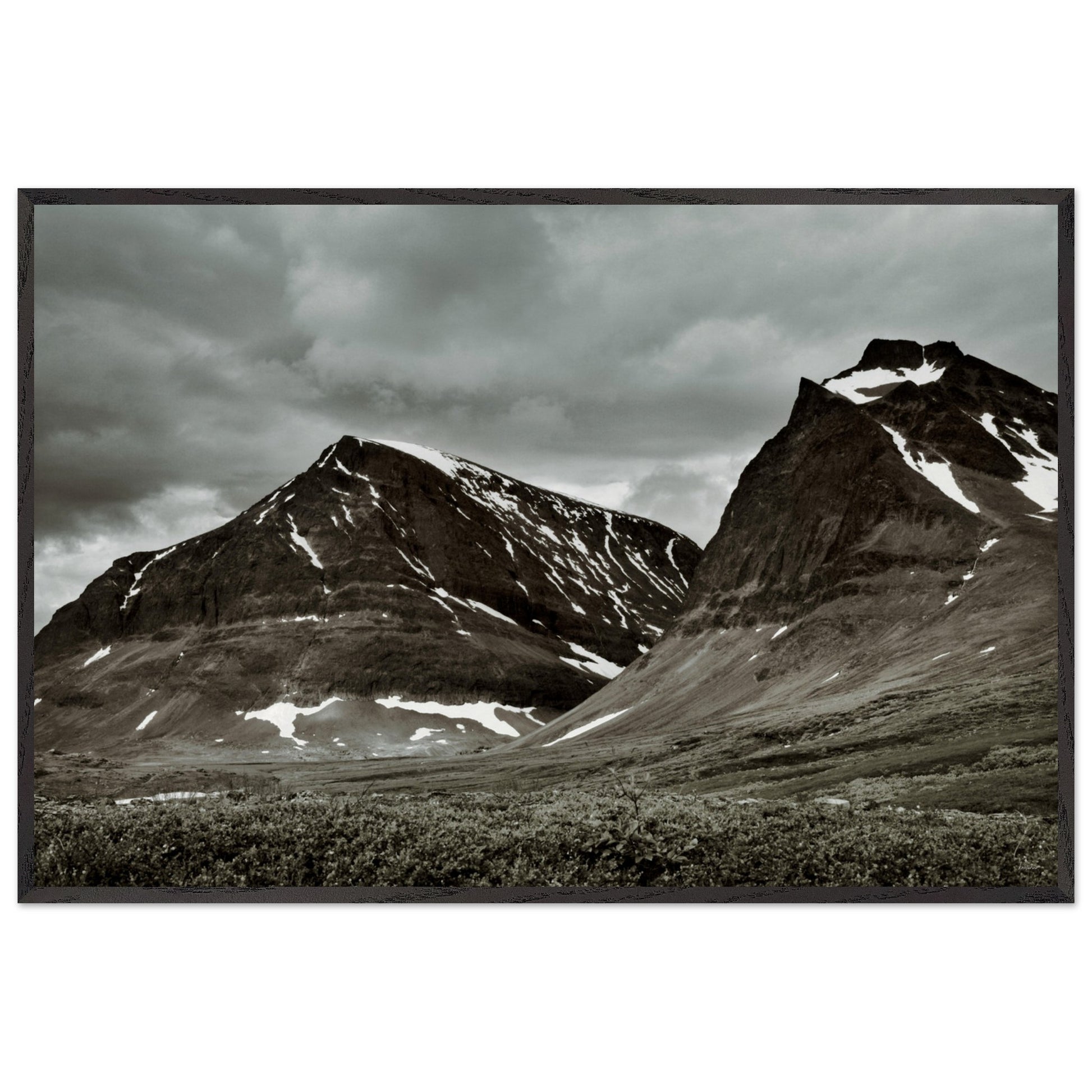 84b8d399-68f1-4bcb-9830-0282eaa3e0b7