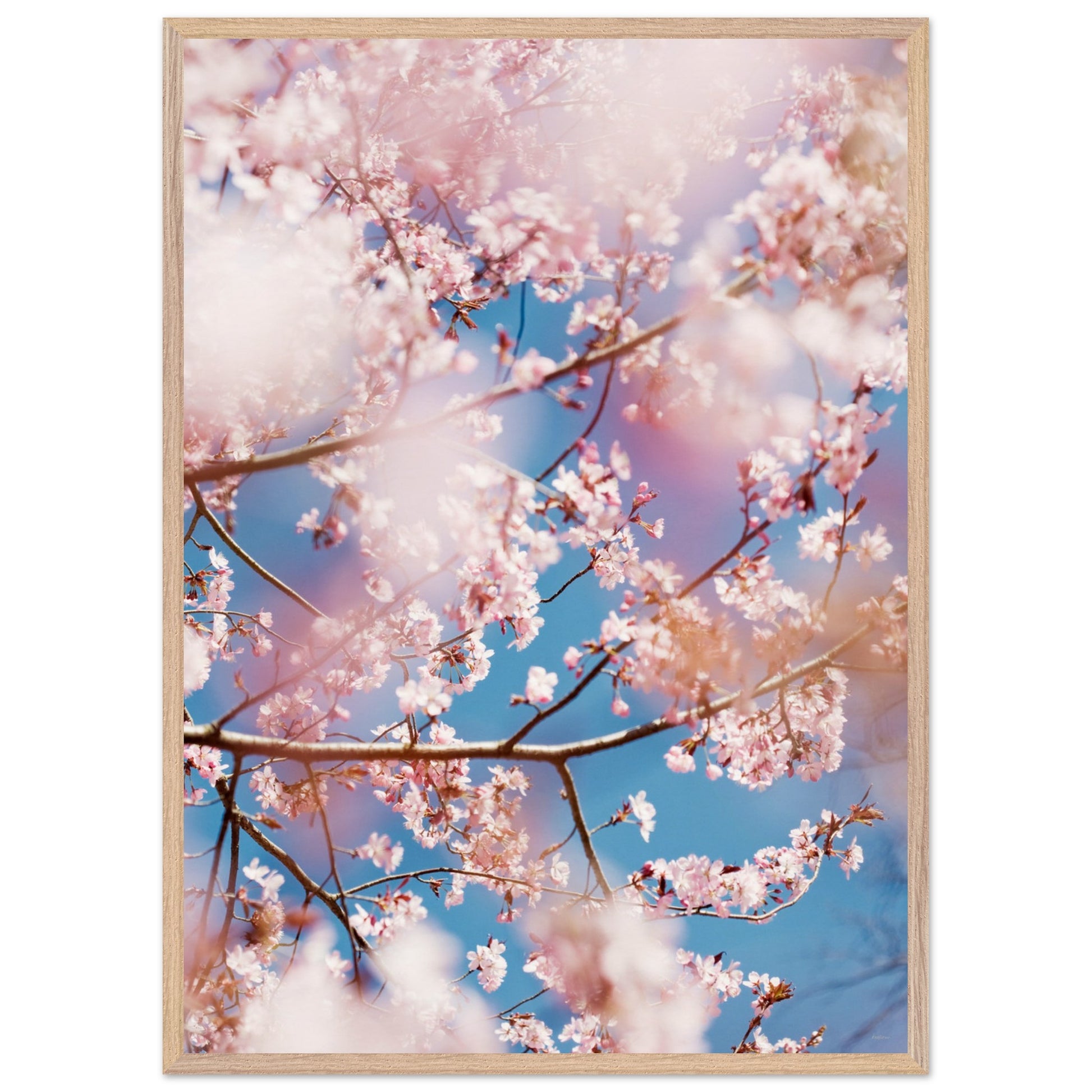 84dfc6ed-5857-437d-97cd-8947c2b4c191