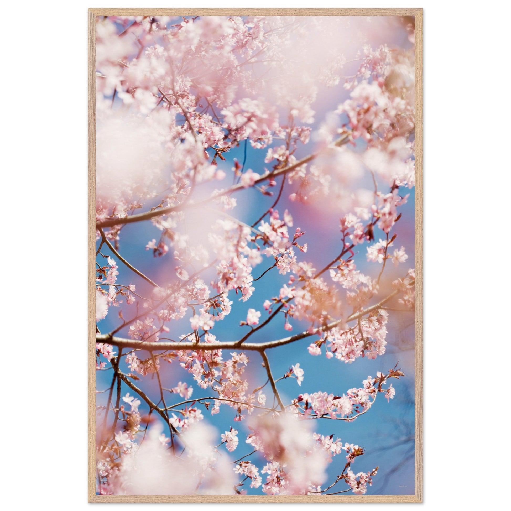 863dc0ce-cf89-43f9-9990-712afb04c759