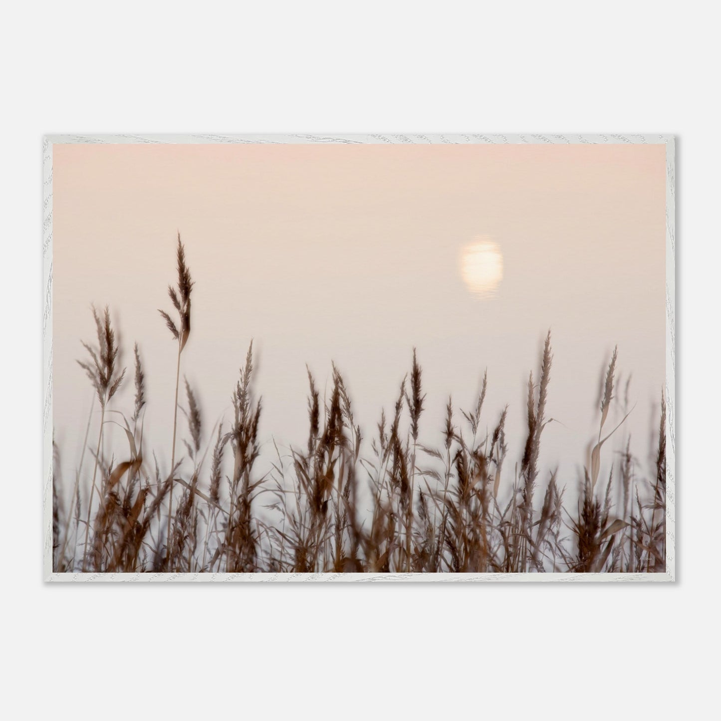 8657a3d3-6bf1-43c5-97d9-dfc2bddc5a6f