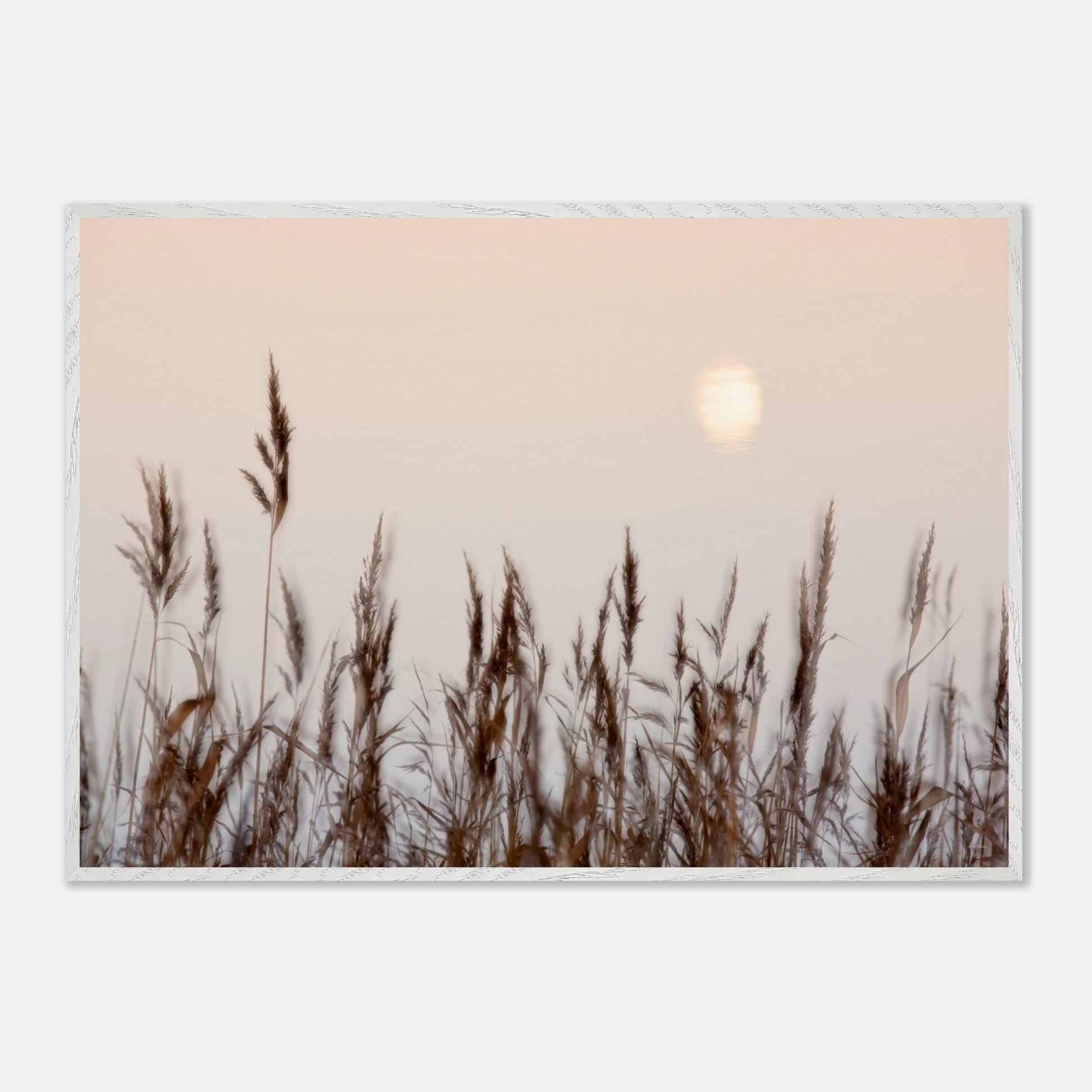 8657a3d3-6bf1-43c5-97d9-dfc2bddc5a6f