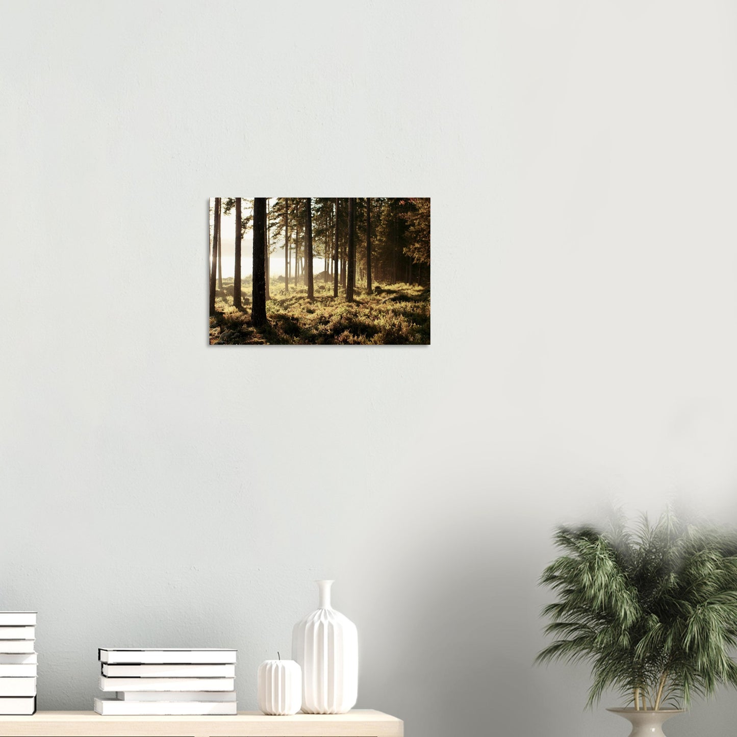 87f5b355-8b49-4092-bbdb-d4745d40caa2