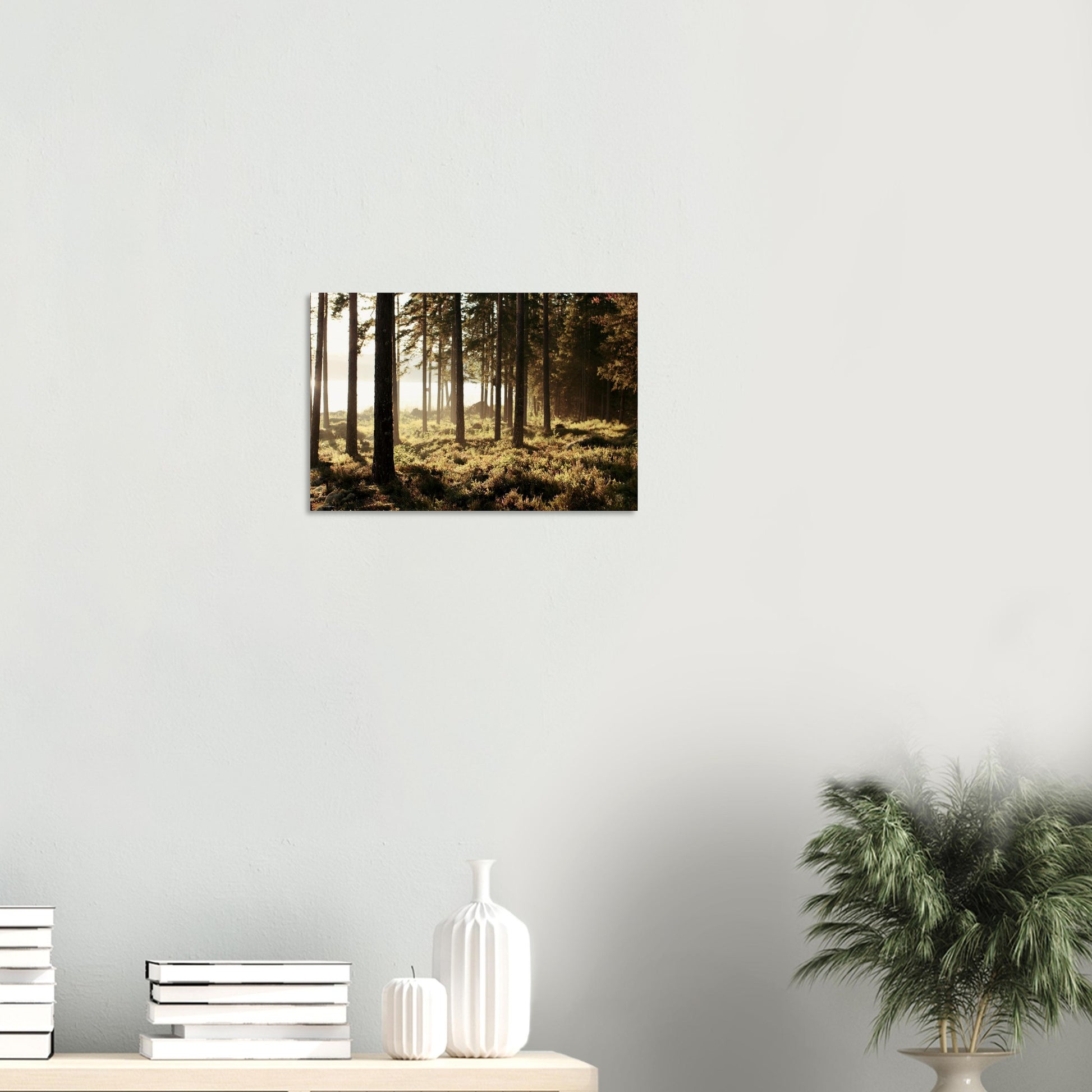 87f5b355-8b49-4092-bbdb-d4745d40caa2