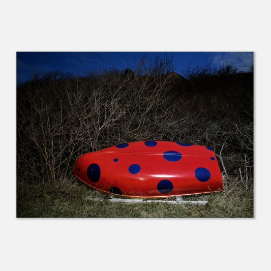 88877af0-023e-4ca2-ad6a-e517202db03a