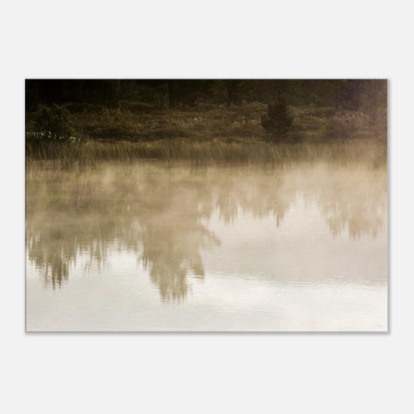 88e965e9-c82a-4b88-99eb-c915cbd06b17