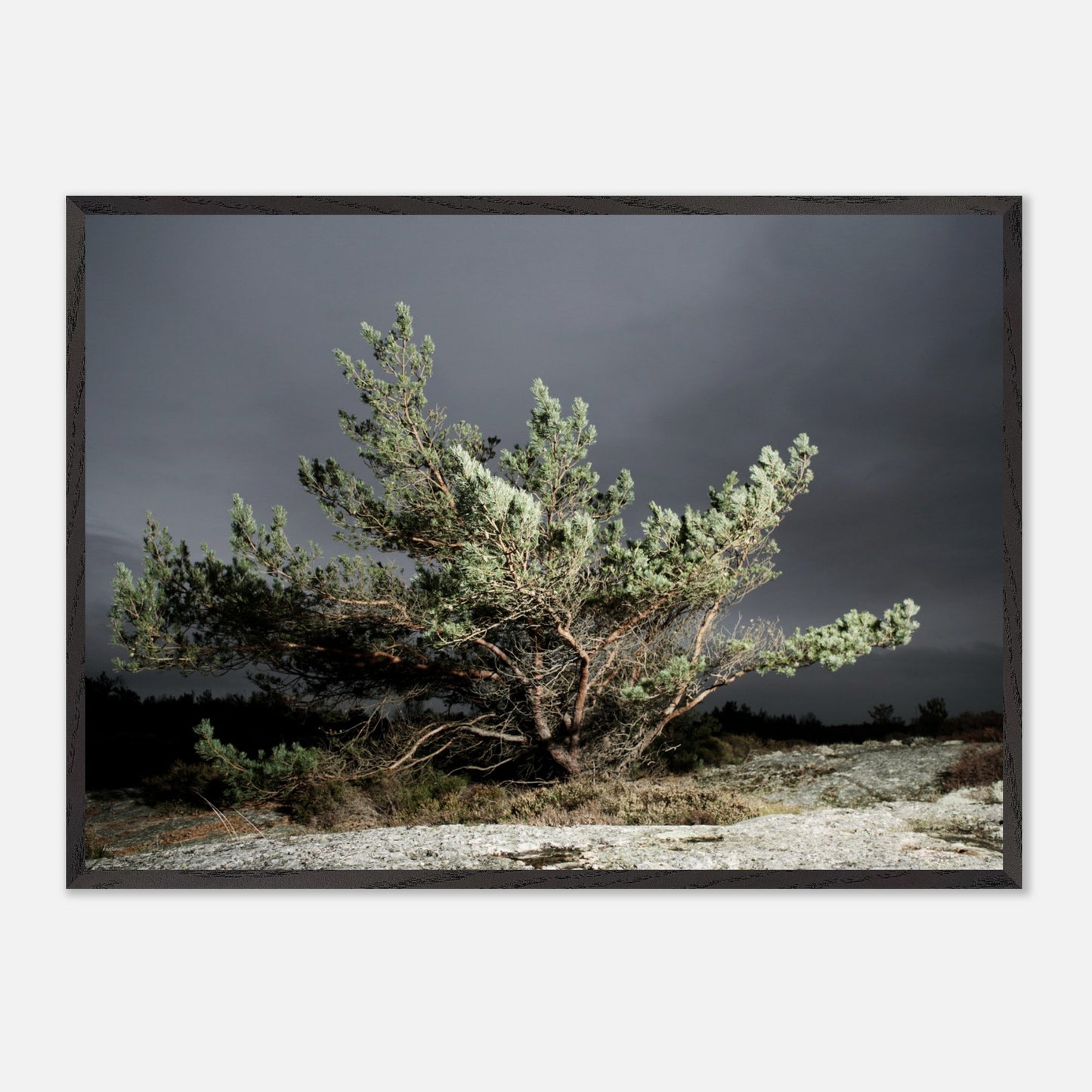 892632e2-c3c2-4103-a021-679a3235aff2