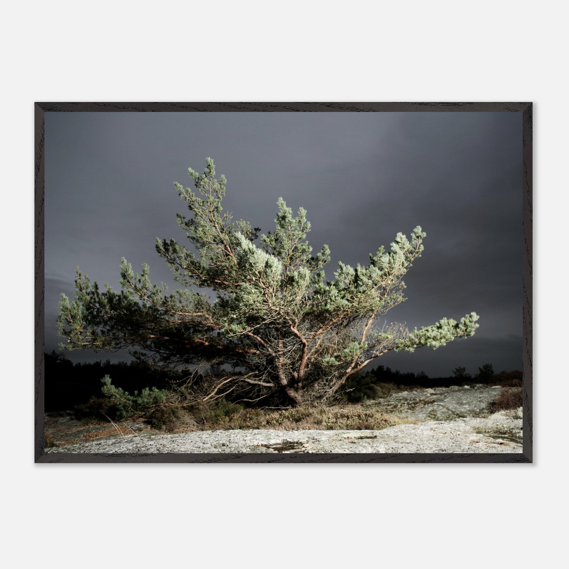 892632e2-c3c2-4103-a021-679a3235aff2