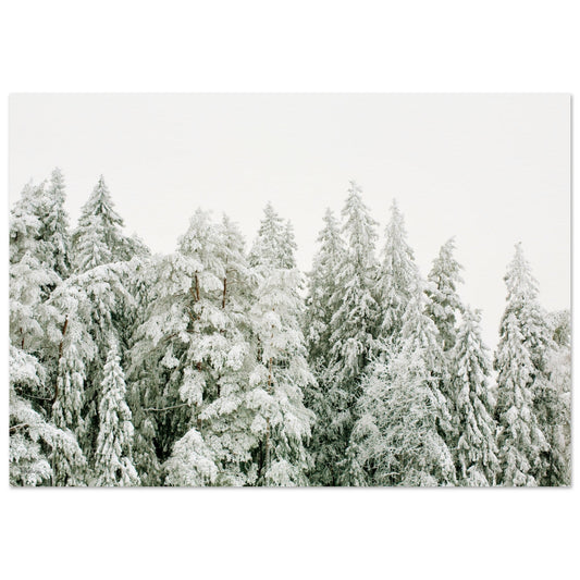 8af529a8-283b-4428-80ed-c54e5021d56f