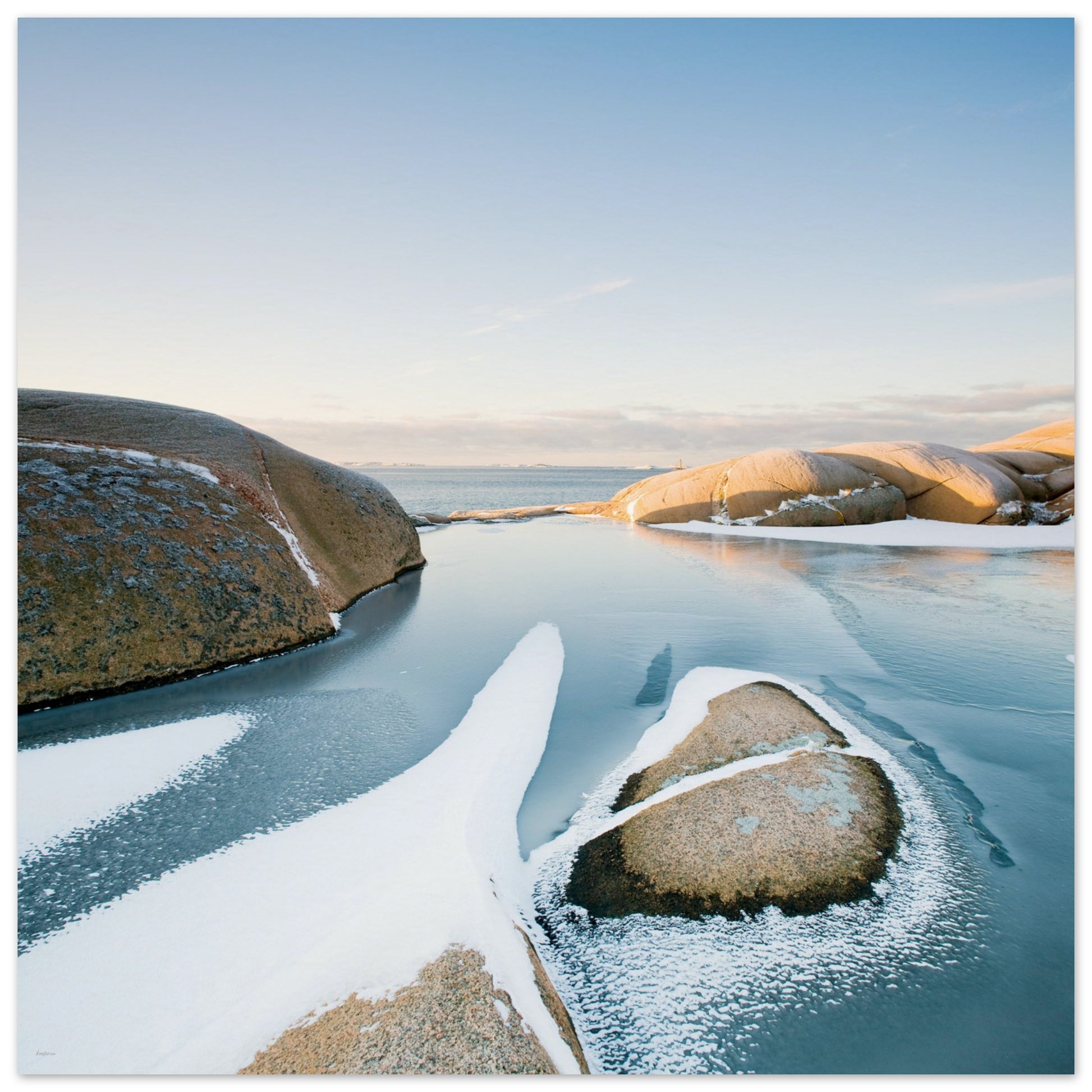 8b5e5446-a446-4e3e-add6-3fa5f8022c75