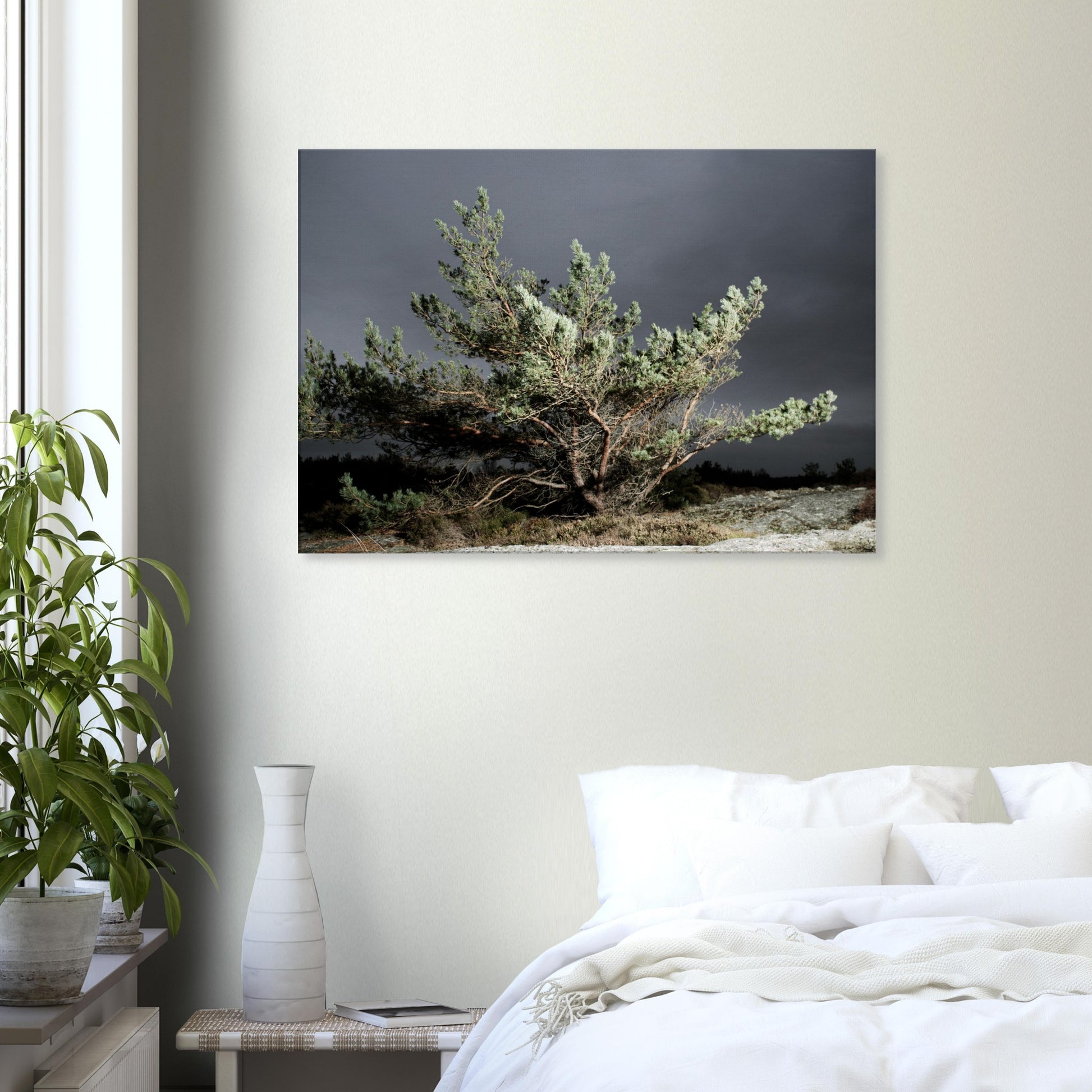 8d96e26d-9fa7-45e6-baed-9ae53bdcee85