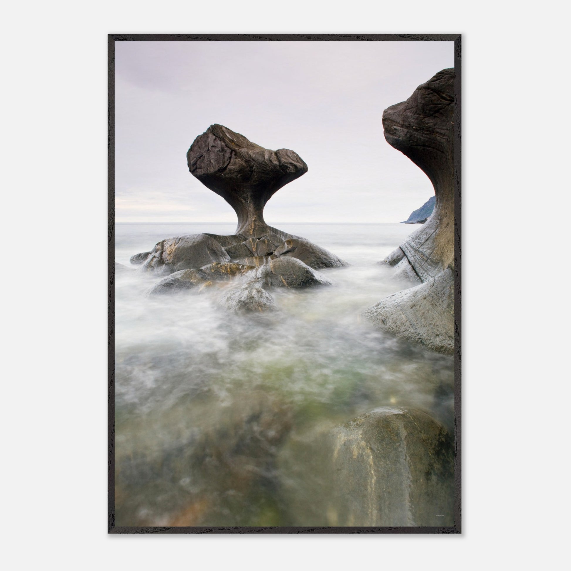 8df2330c-12fa-446f-b844-5d331dc7f52a