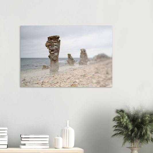 8e234769-c980-417d-b32b-eec24cae5e32