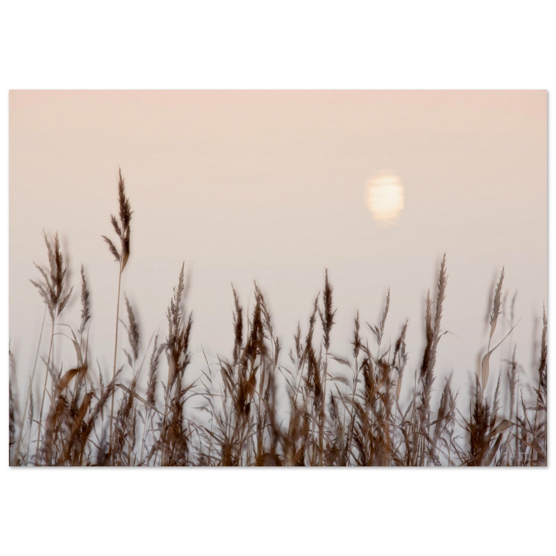 8f626a7f-33ef-48fd-aa1d-9156484ca677