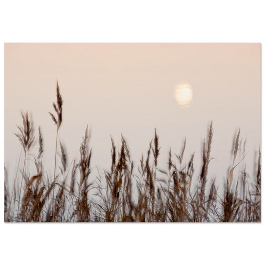 8f626a7f-33ef-48fd-aa1d-9156484ca677