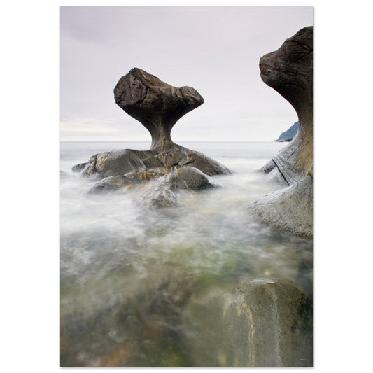 8f7c35c6-c89c-49f9-aa33-cc10f729ec69