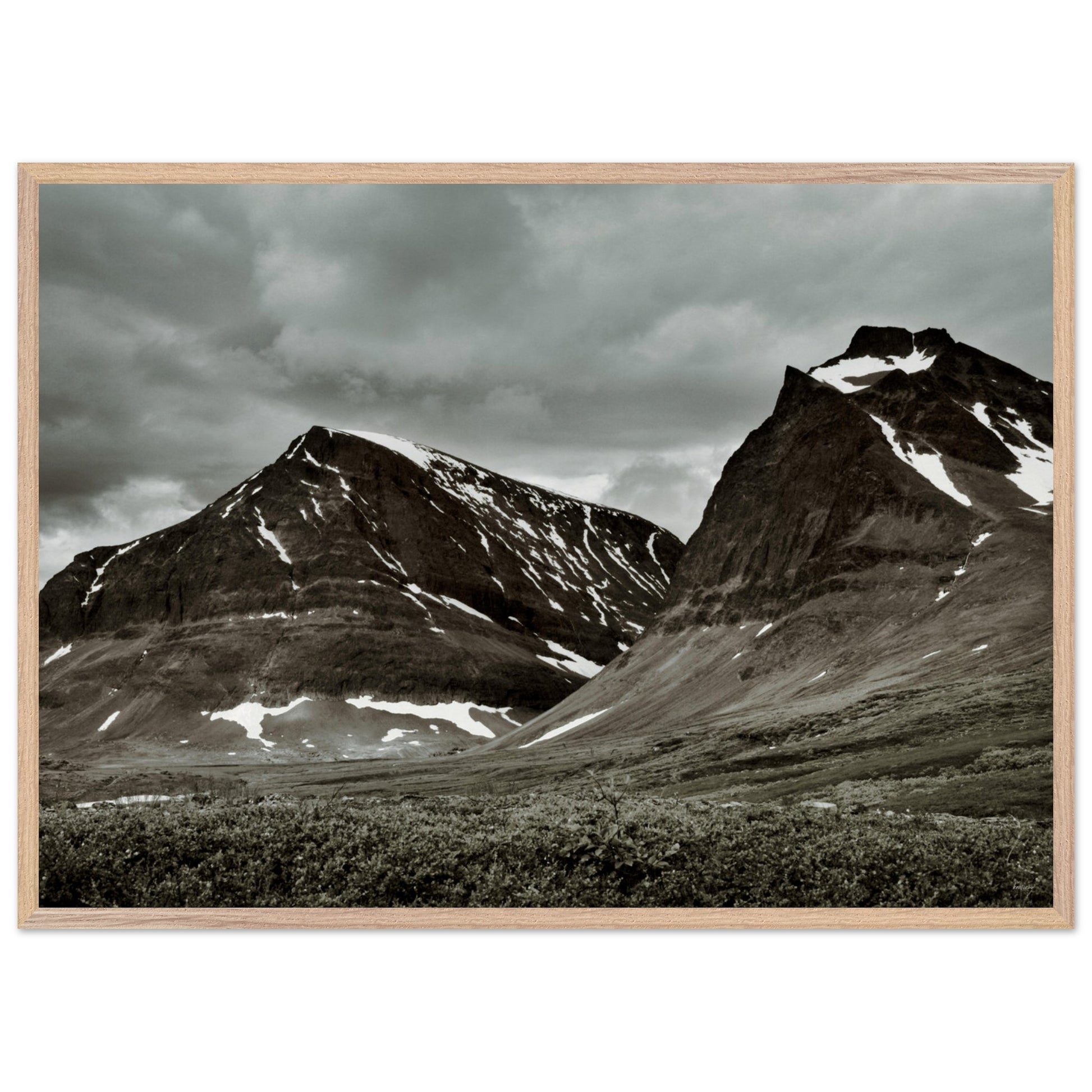 8fc4801d-f018-4787-be76-b10a0d3d535c