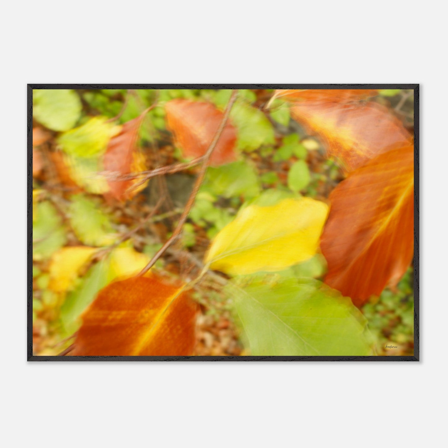 8fe589cc-54be-4ddb-9c3f-b9710608456a