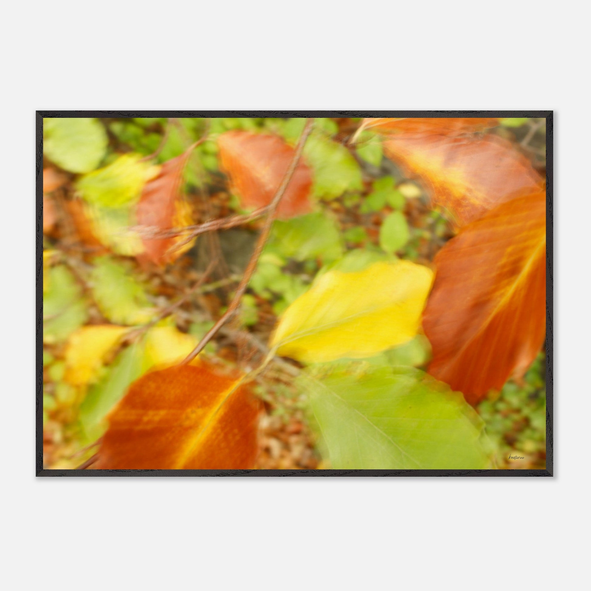 8fe589cc-54be-4ddb-9c3f-b9710608456a