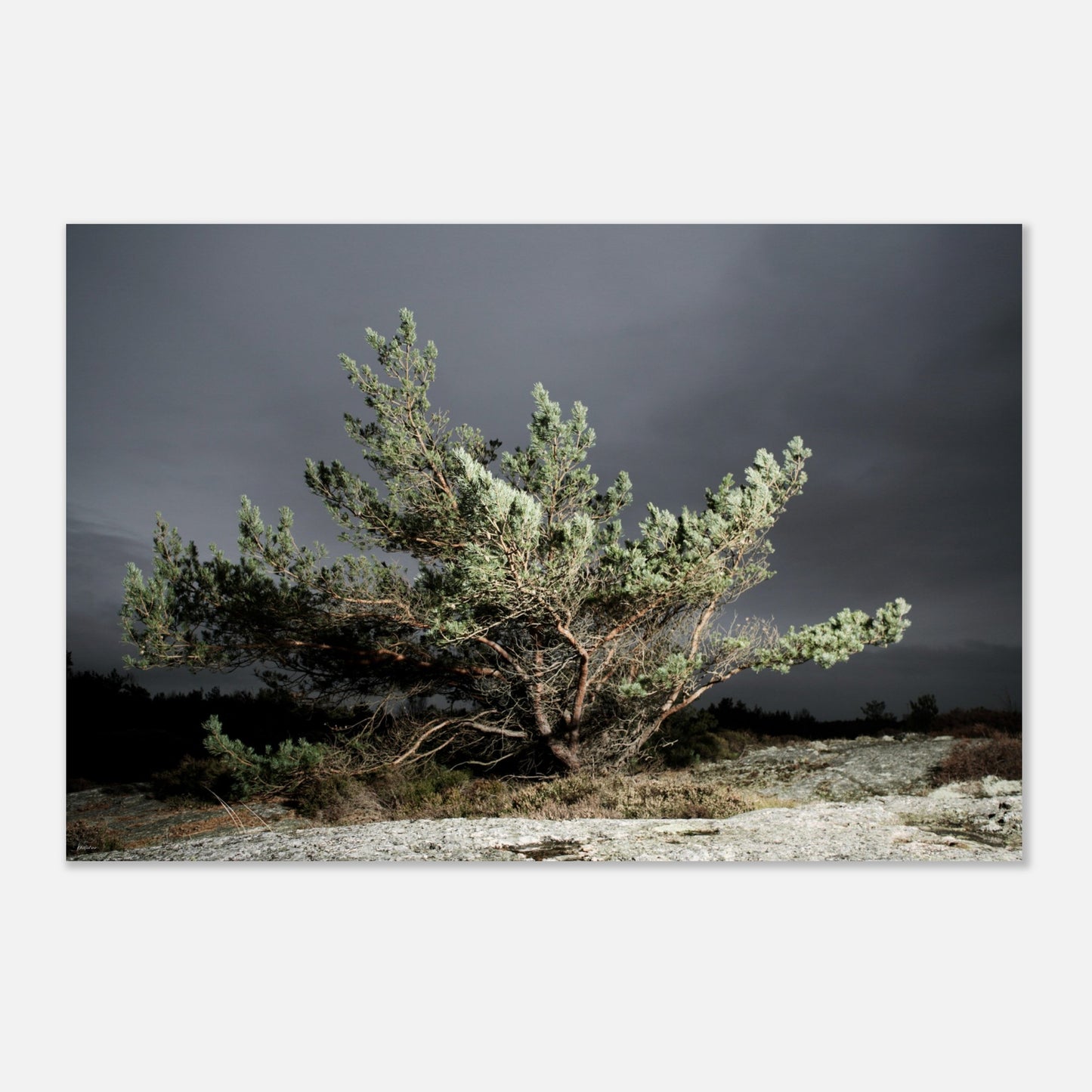 90abf475-65ef-45f0-a3f6-14c77c7a0f77