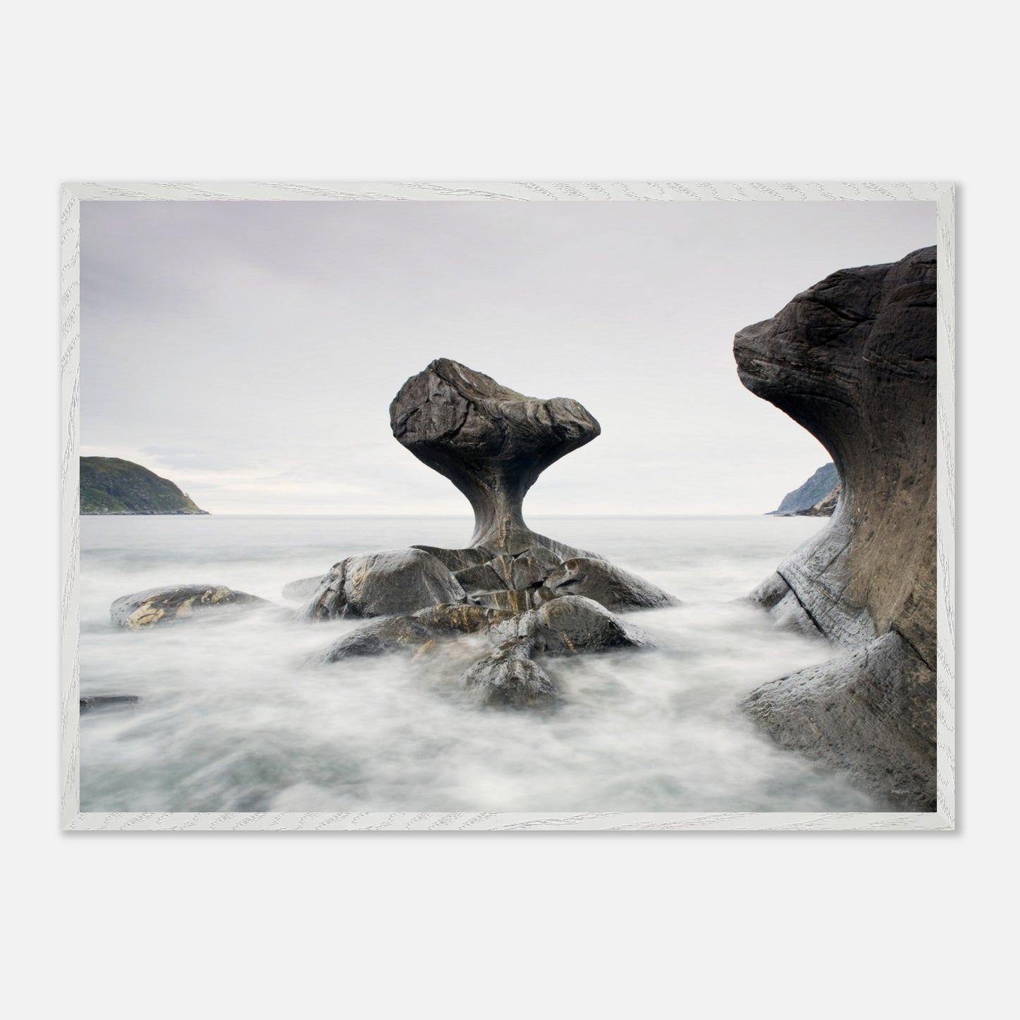 91dbc3b5-1fed-483c-af67-b909a2ea2b65