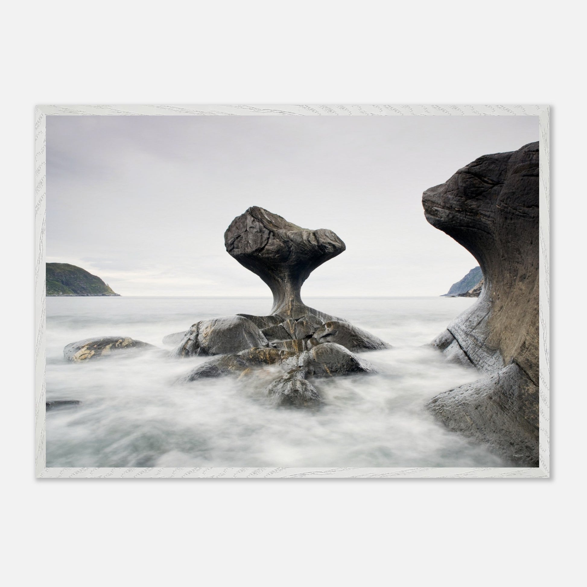 91dbc3b5-1fed-483c-af67-b909a2ea2b65