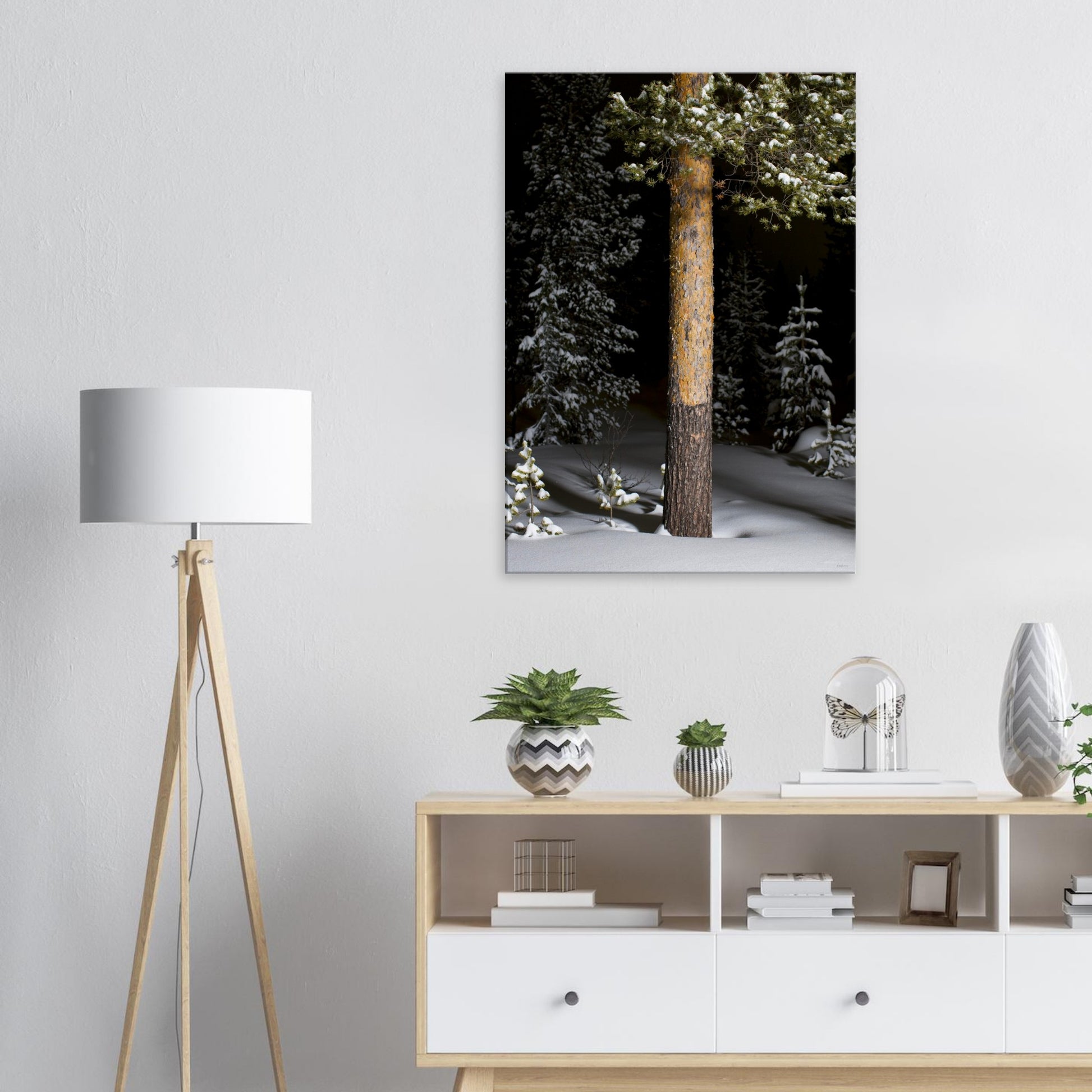 924e59b1-7b85-4659-b7e7-d5a7e5518fe6