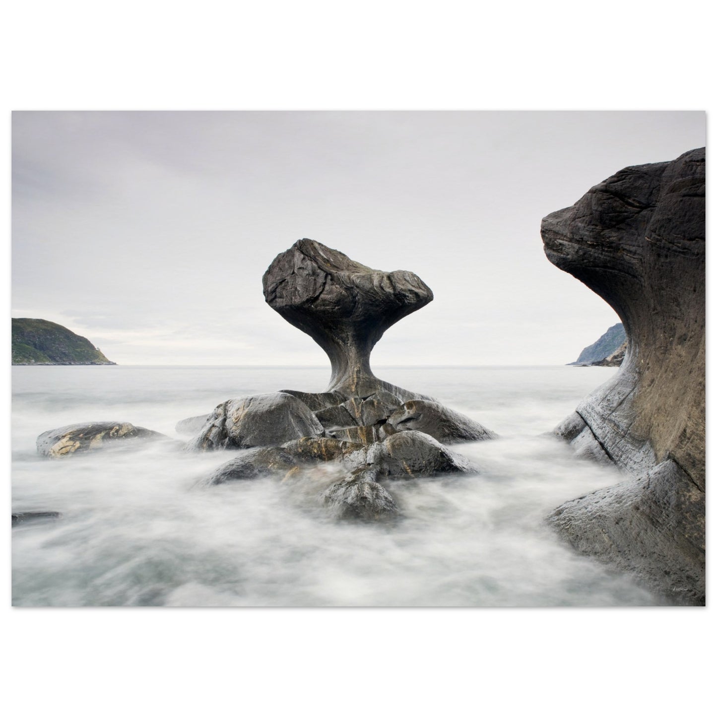 92e61dc3-86ed-4598-a741-6947cba33984