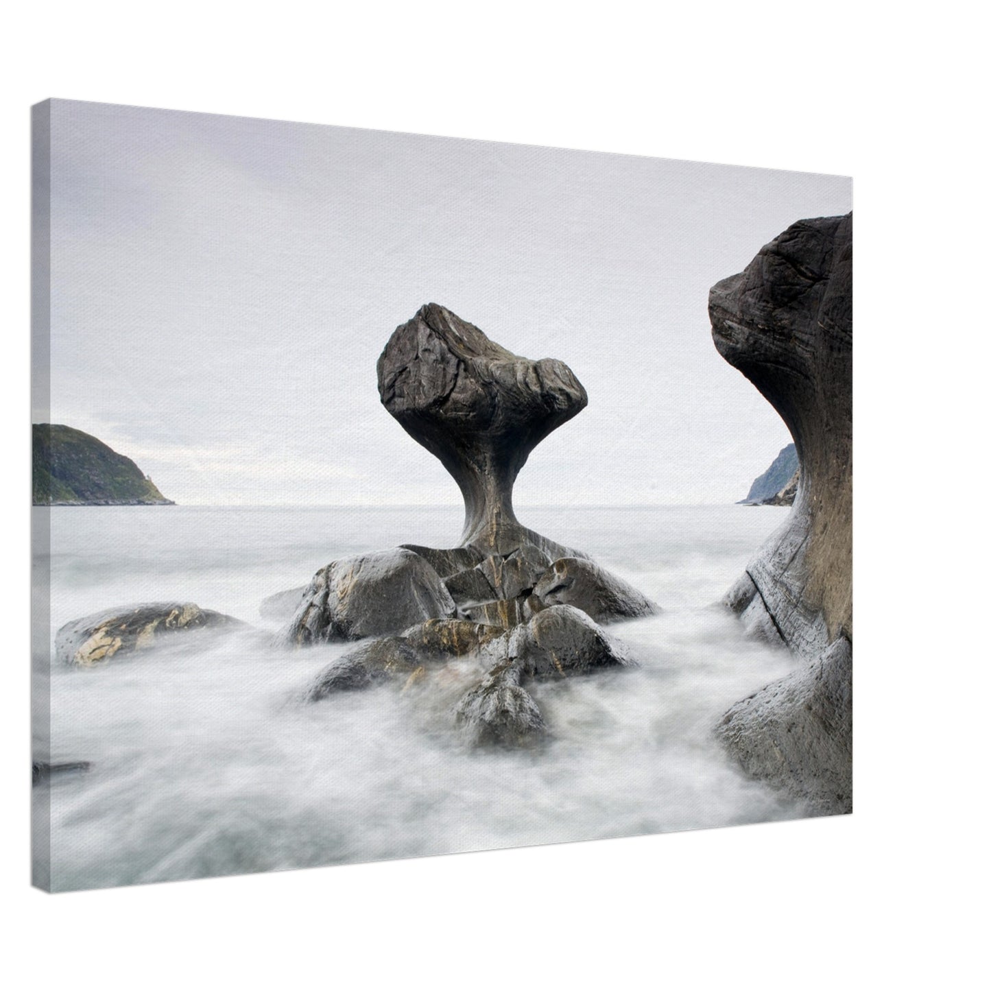 92f03c96-3edc-4915-978a-e6444cdd60c5