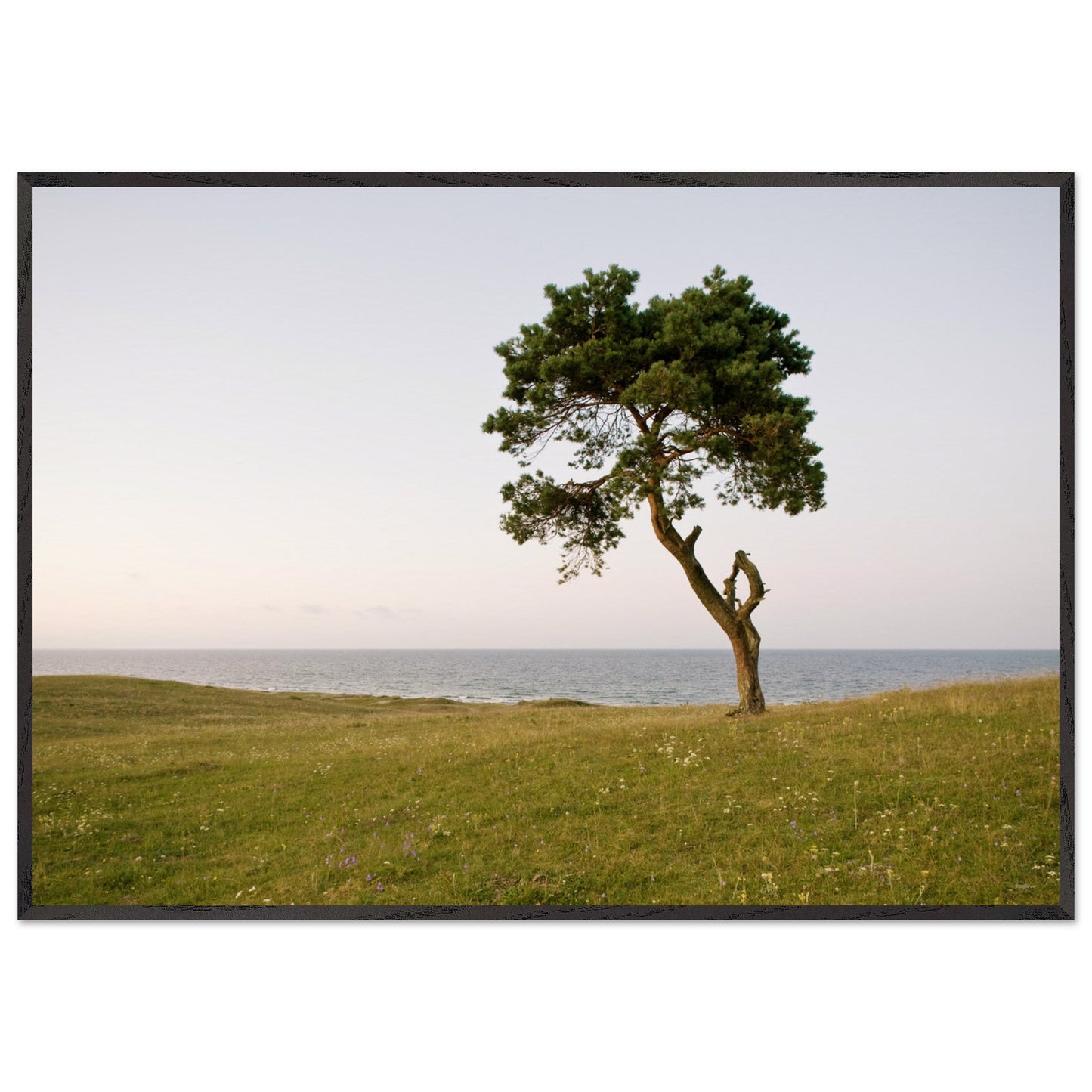 936a2fe1-41ec-41ab-aca1-25114a918754