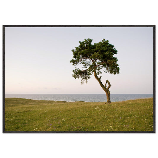 936a2fe1-41ec-41ab-aca1-25114a918754