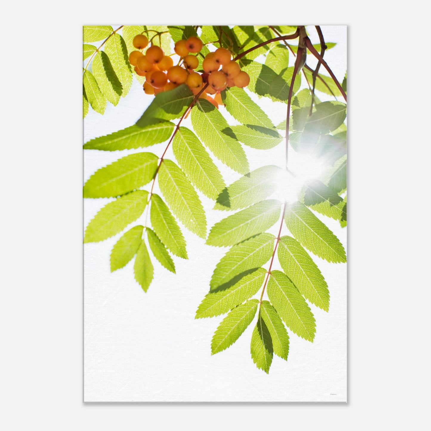 9435a555-56ba-46d3-b07e-efd850e8f57a