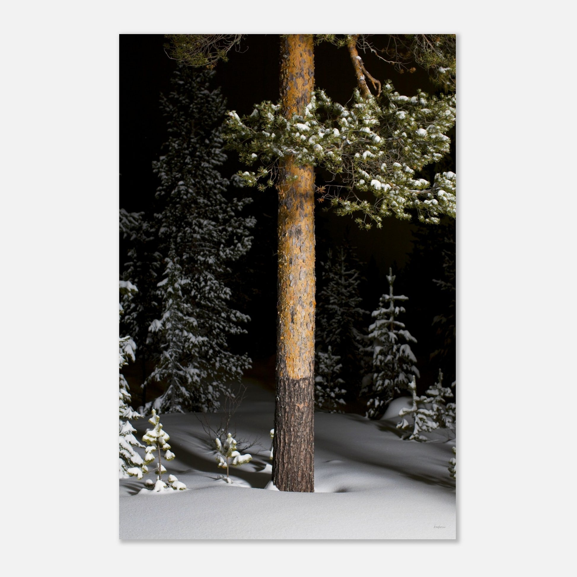 94497524-5efe-4972-a767-00183bba6275