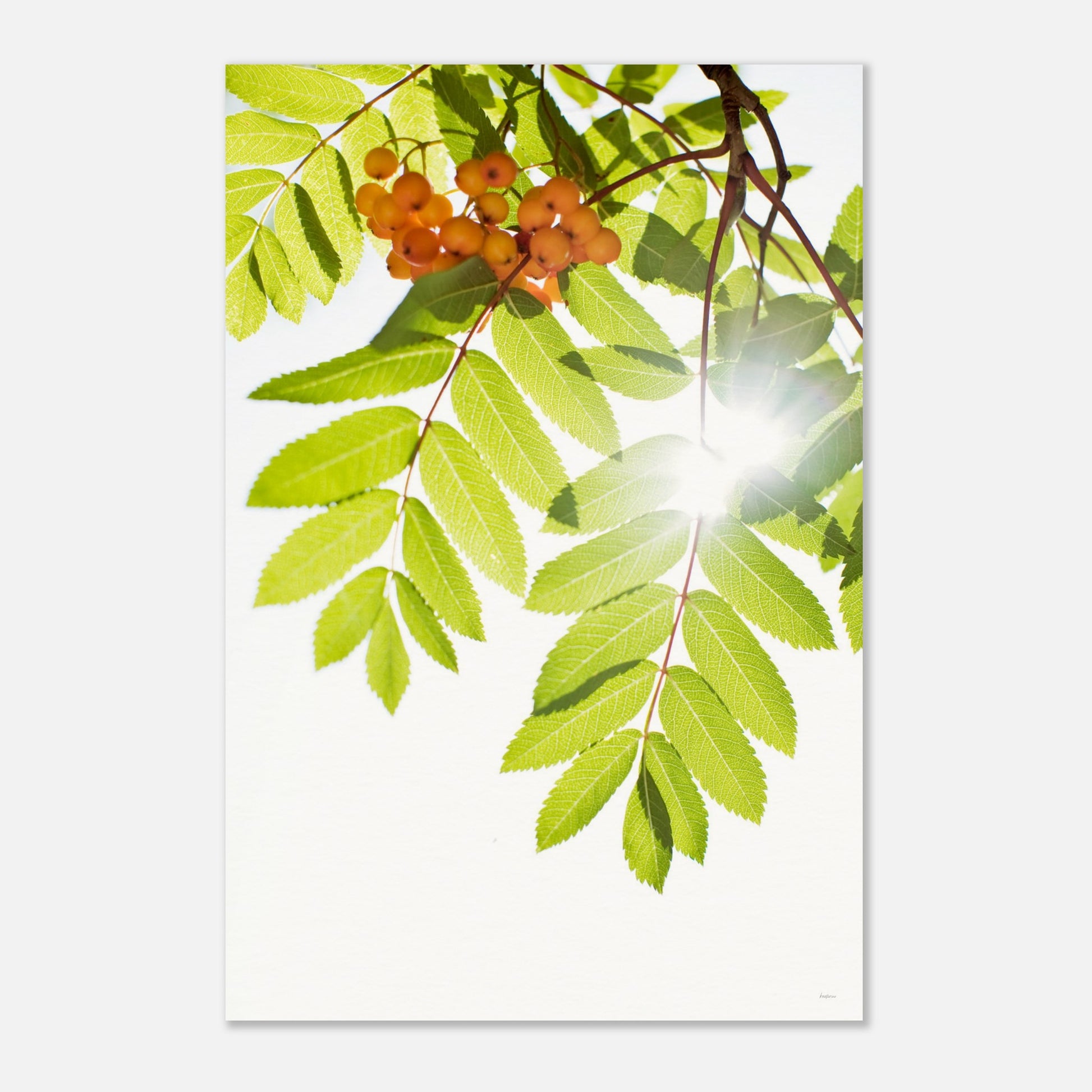 958af2ac-47fb-473a-b0ba-d1f1dbf6ea96