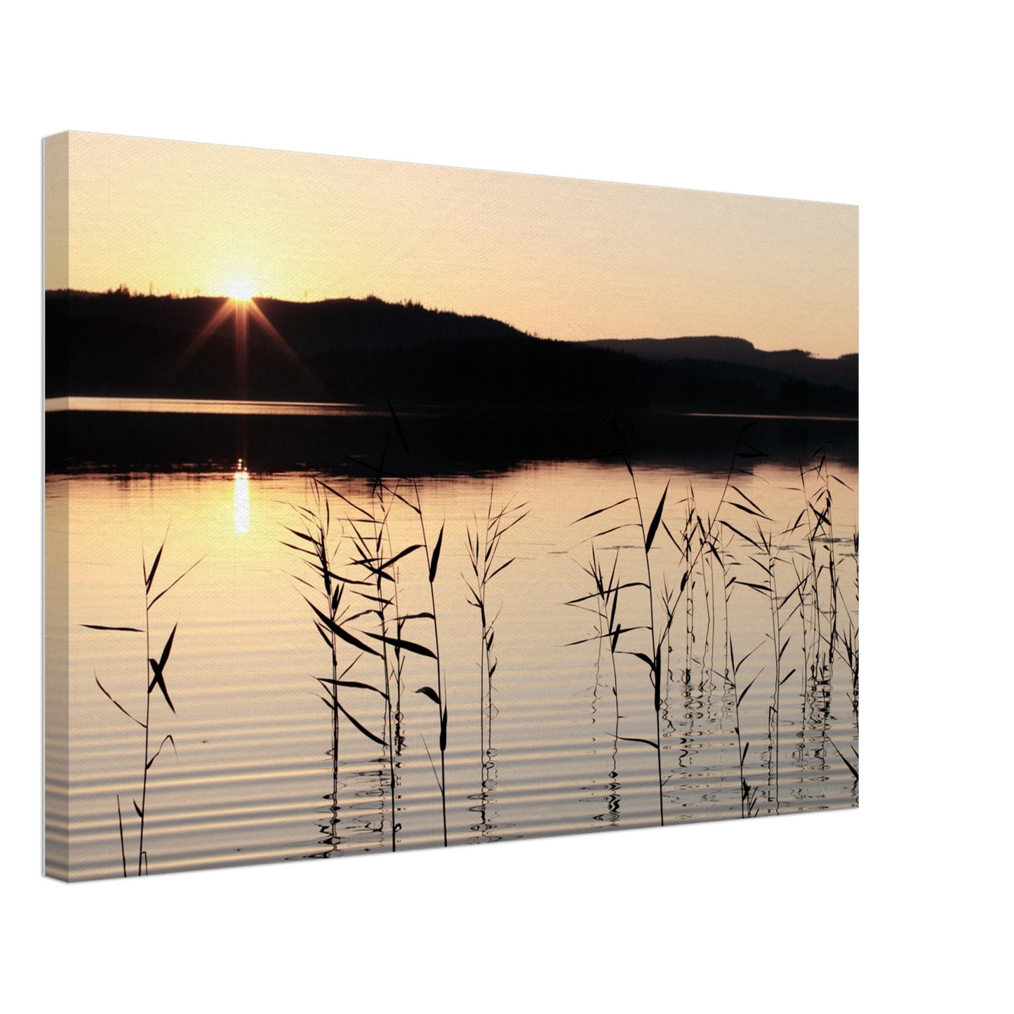 95e5af44-5b1a-485c-b64b-419cba325458