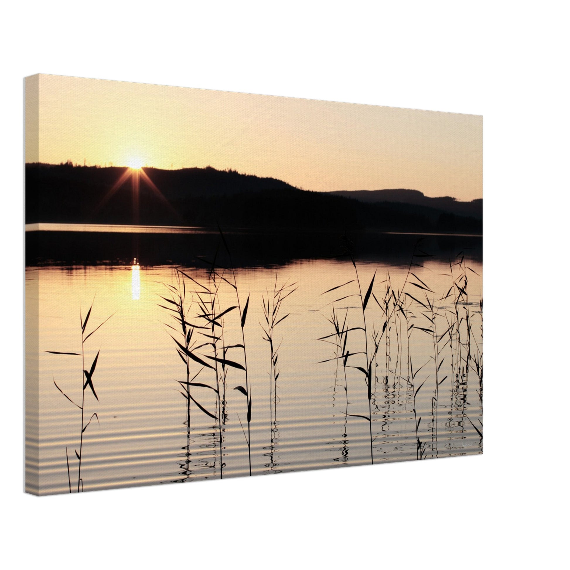 95e5af44-5b1a-485c-b64b-419cba325458