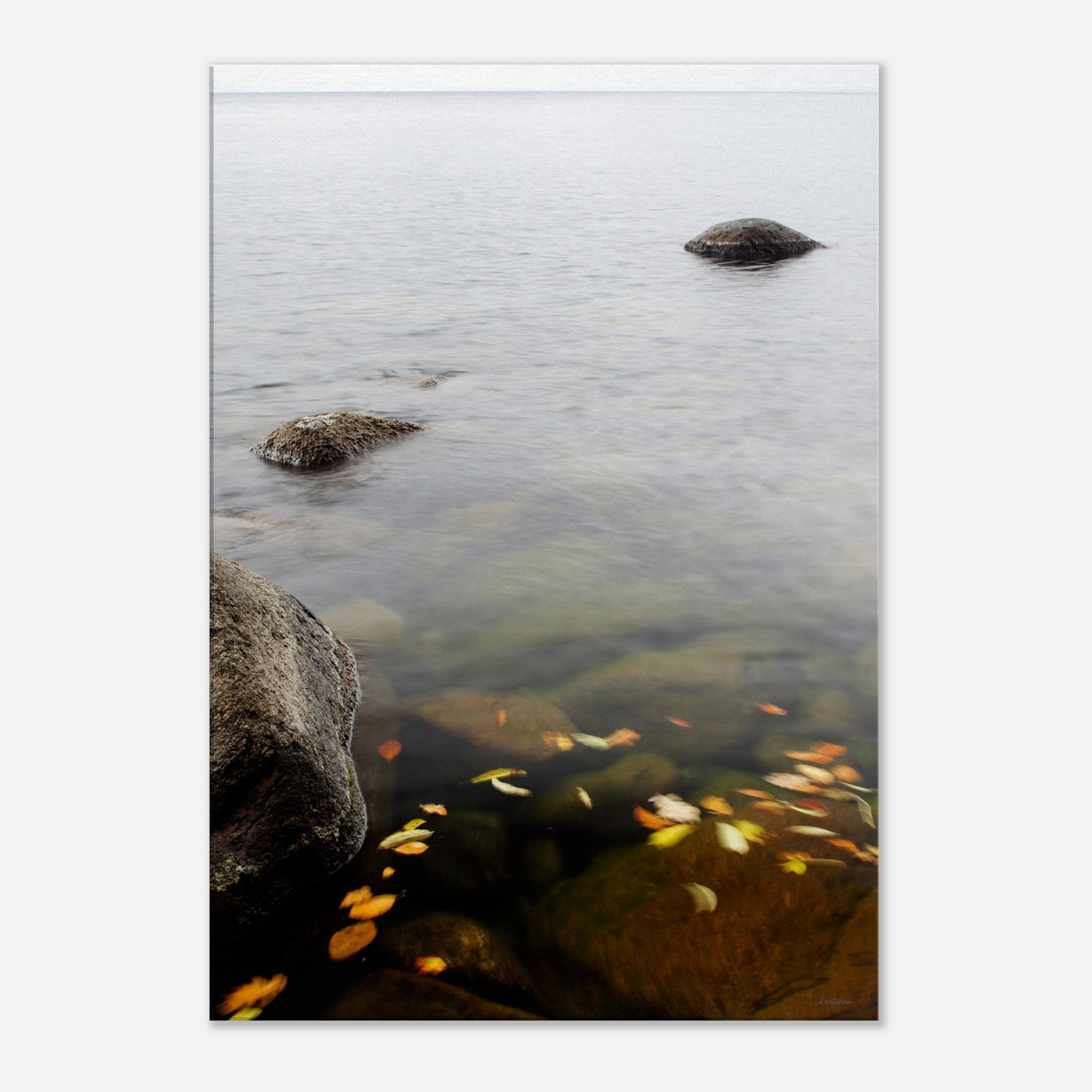 967e3d1c-c838-4e39-9d7e-a38c41ee30ab