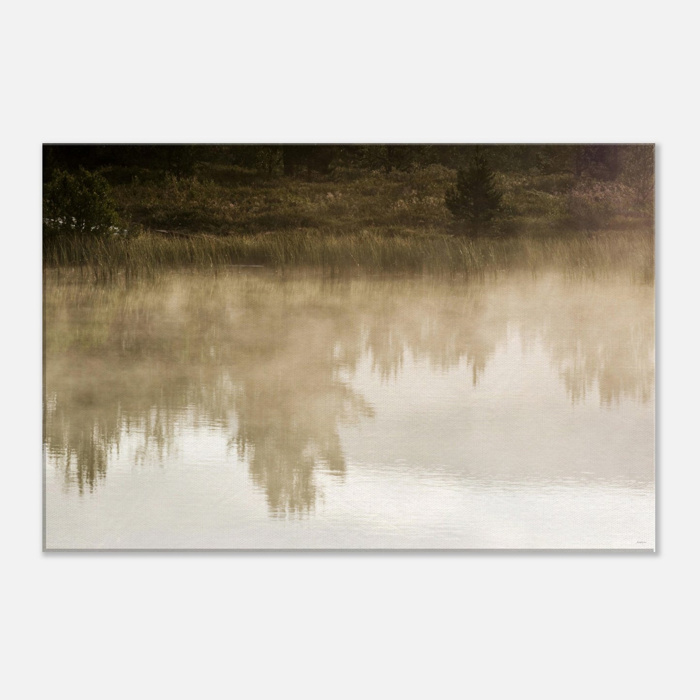 9a543eab-60a8-4393-b1d6-55f06826b041