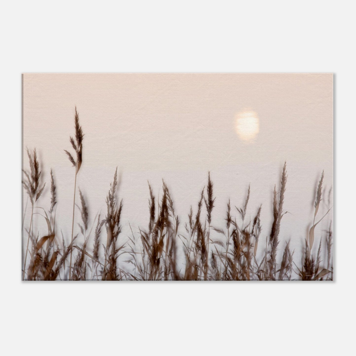 9ddd0760-ac6f-446e-9b78-c18769d8a9e2