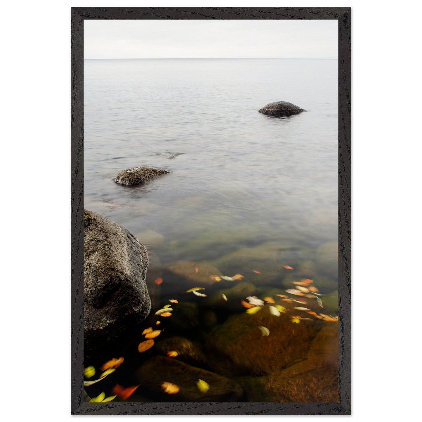 9ebc1e26-3c56-45e9-8514-a9e1636d493d