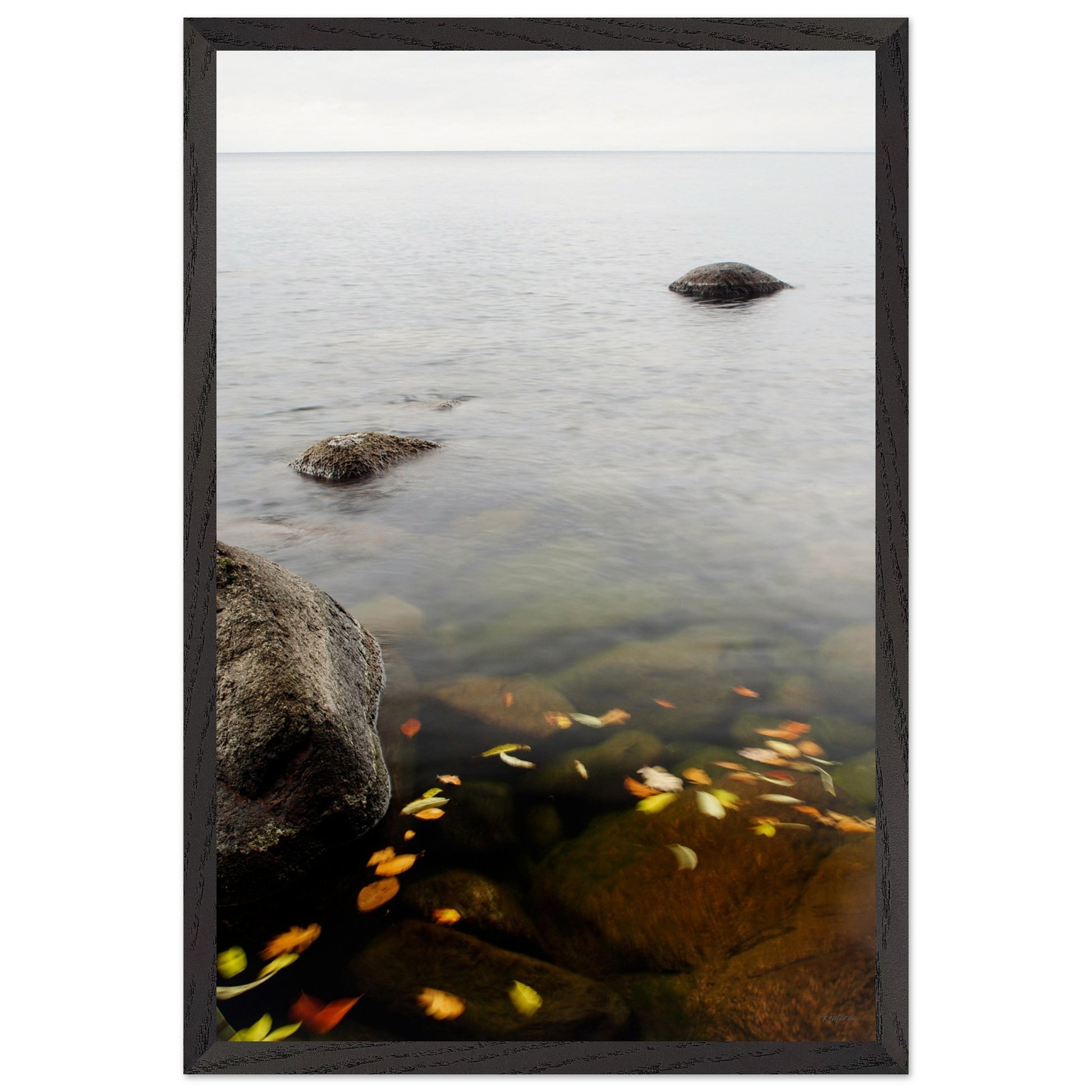 9ebc1e26-3c56-45e9-8514-a9e1636d493d