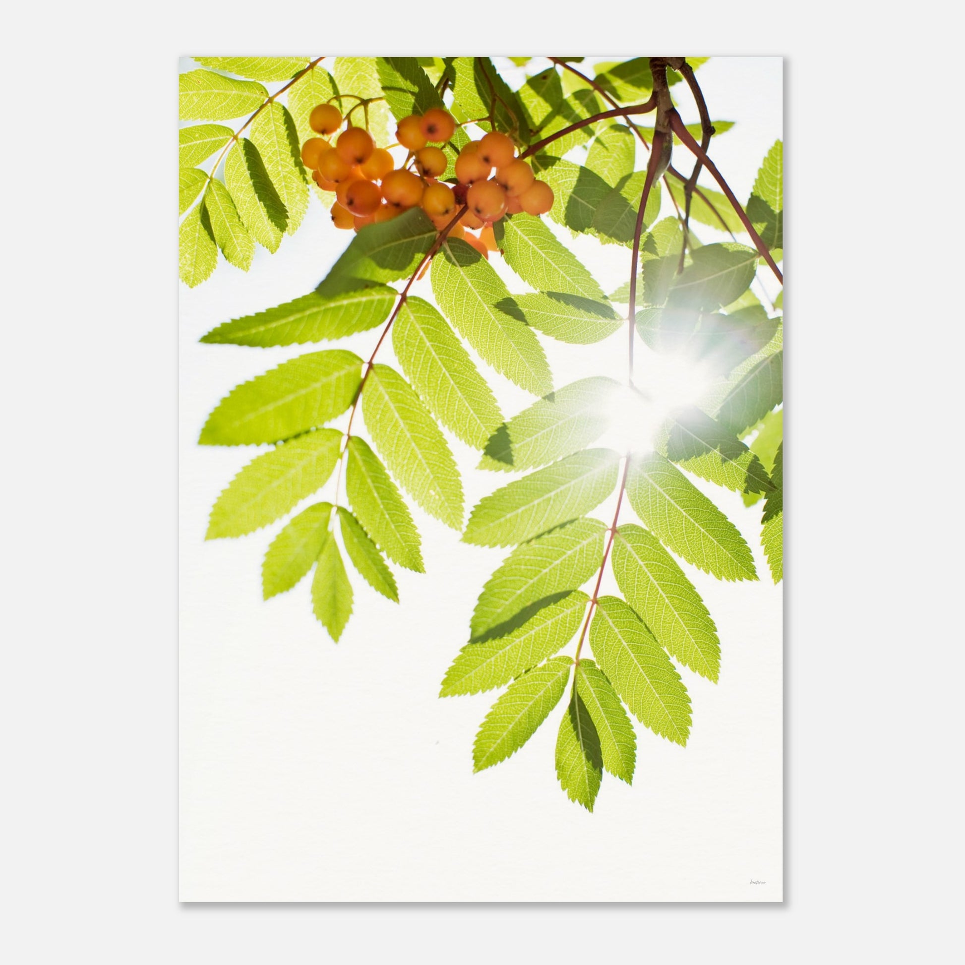 9efdbd88-ca63-4d07-a326-f1a458bd7c62